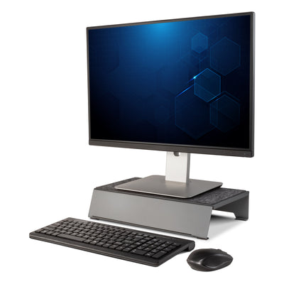 TechStyle Steel Monitor Stand Plus